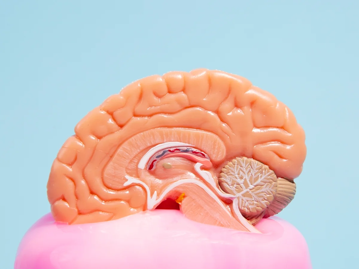 Estimulação cognitiva pode retardar perda de funções no Alzheimer