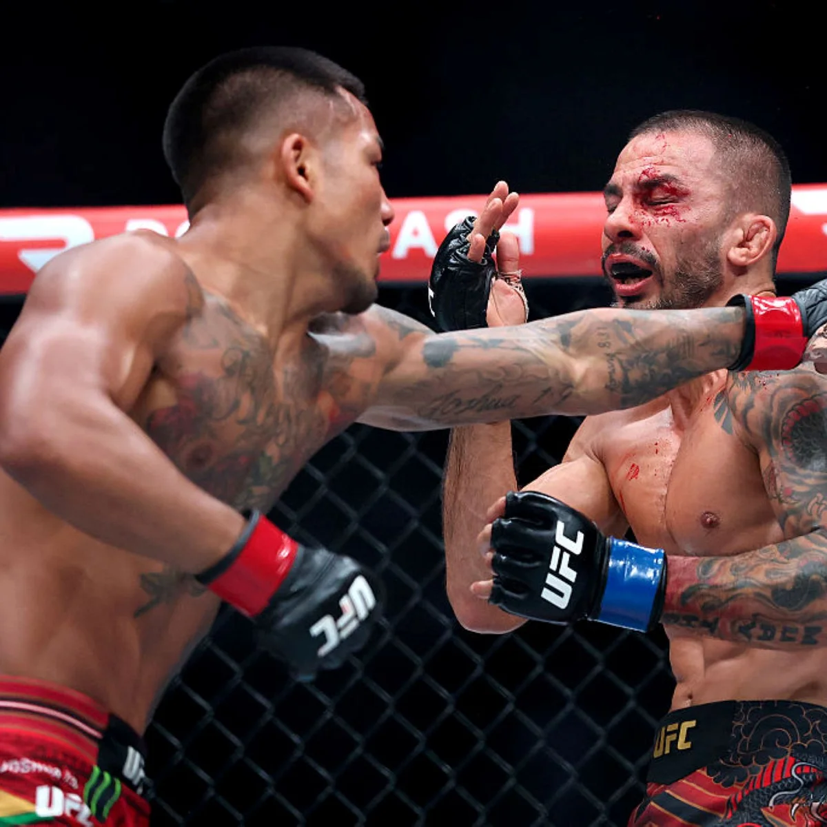 UFC 331: Joshua Van derrota Alexandre Pantoja e segue campeão do peso-mosca