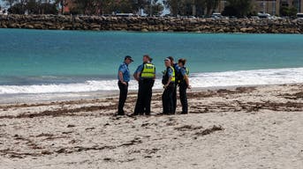 'Devoted' pai e futuro avô nadando na praia popular foram mortos em ataque suspeito de tubarão