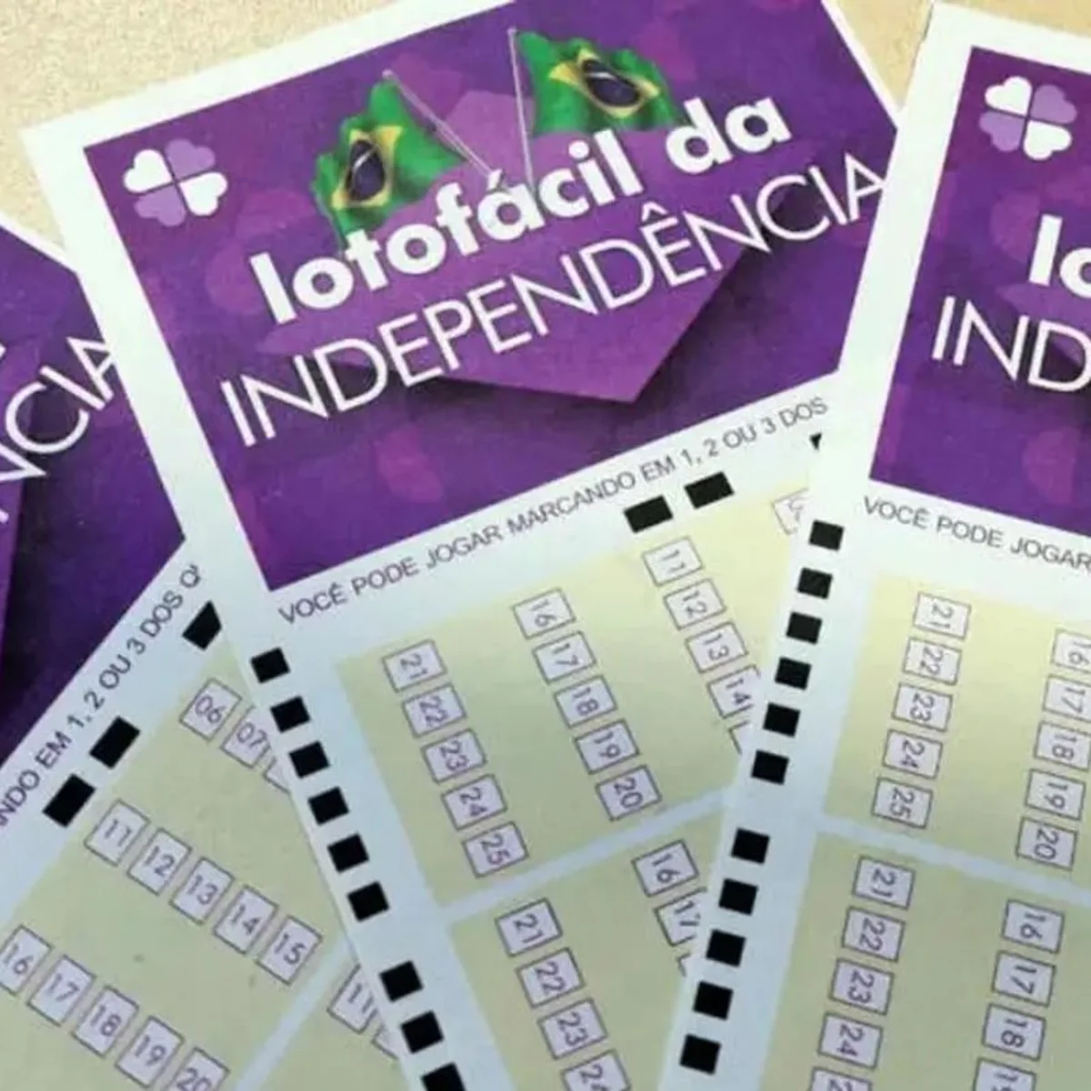 Lotofácil da Independência sorteia R$ 300 milhões. Veja resultado