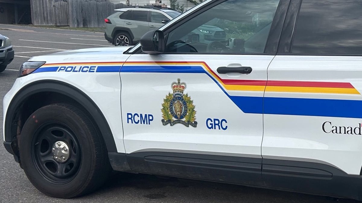 N.S. RCMP uses tracking device to recover stolen truck in Porters Lake