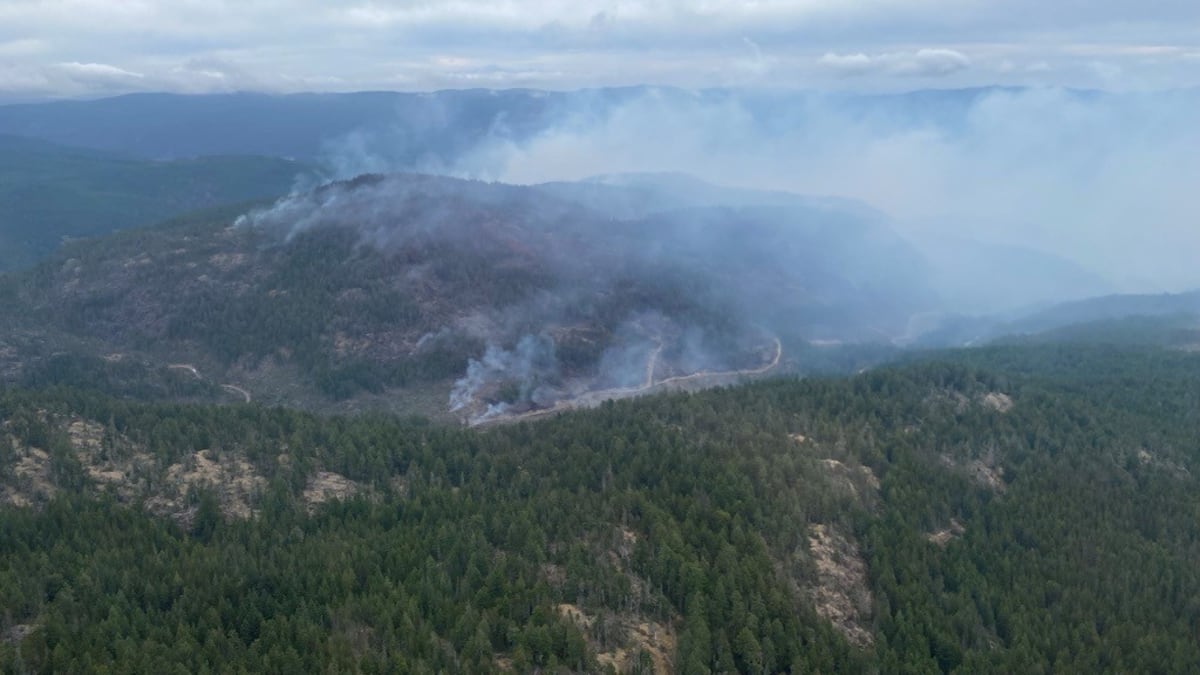 337-hectare Mount Jack wildfire near Sooke: What you need to know