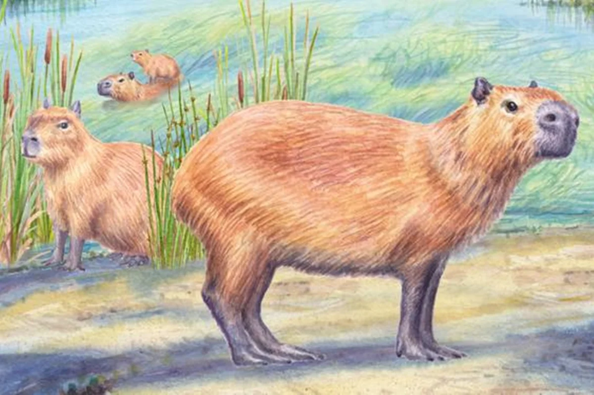 Ilustração colorida das capivaras vivendo no Atacama - Metrópoles