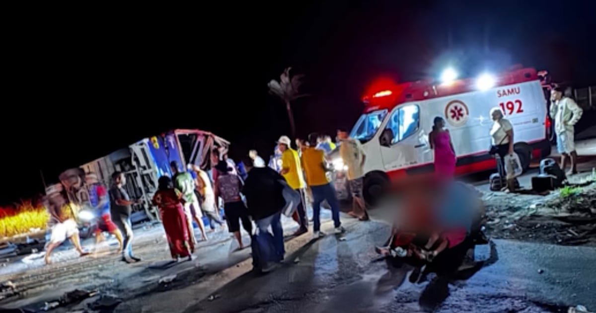 Ônibus de acidente com 6 mortes na BR-116 em MG não tinha autorização para viagem interestadual, diz ANTT
