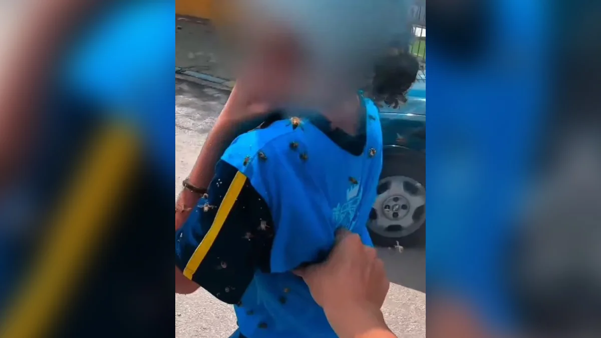 Motoboy que salvou criança de ataque de abelhas vira herói nas redes