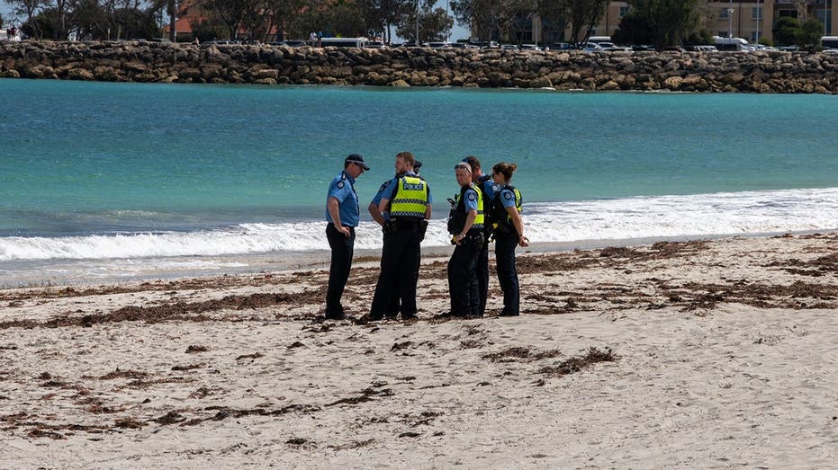 'Devoted' pai e futuro avô nadando na praia popular foram mortos em ataque suspeito de tubarão