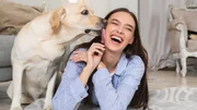 Asfalto quente: como evitar queimaduras nas patas do seu cachorro