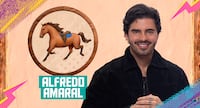Darlin Ferrattry projeta possível volta de Giovanna Gold: ‘Vou jogar água na cara dela’