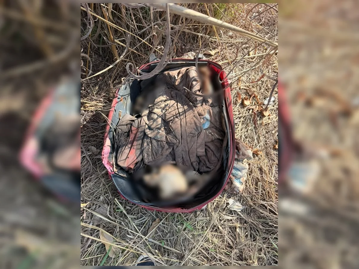 Ossada humana é encontrada em mala junto a relógio e camisa de time em GO