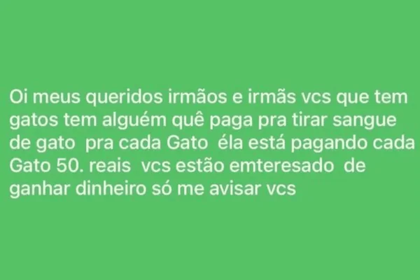 MPSP investiga suspeitos por esquema clandestino de venda de sangue de gato - destaque galeria