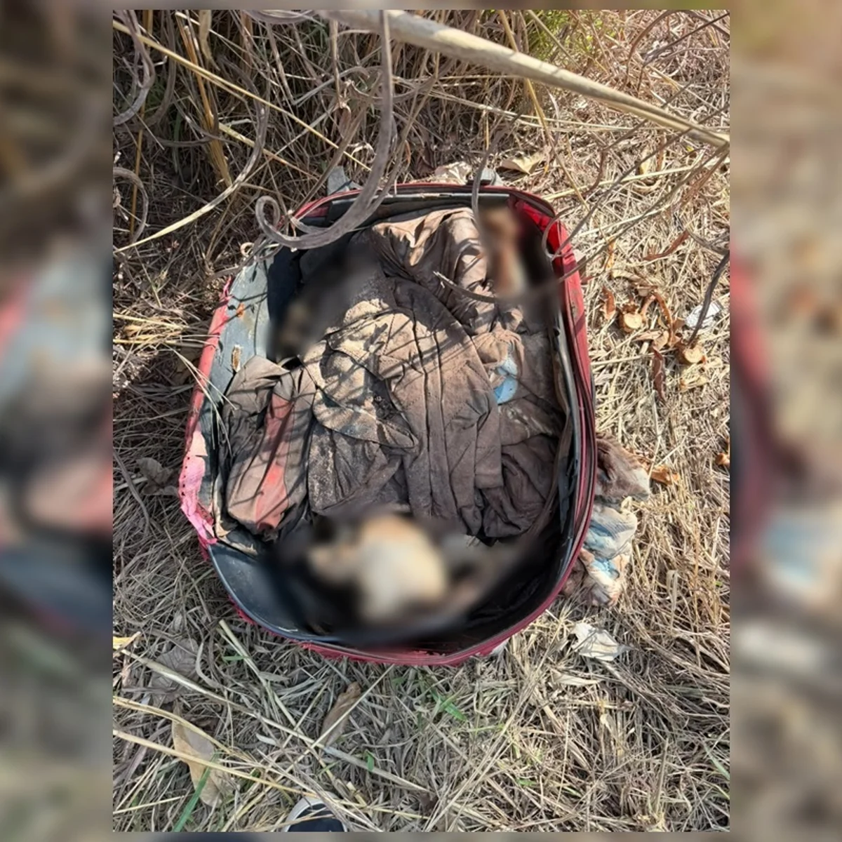 Ossada humana é encontrada em mala junto a relógio e camisa de time em GO