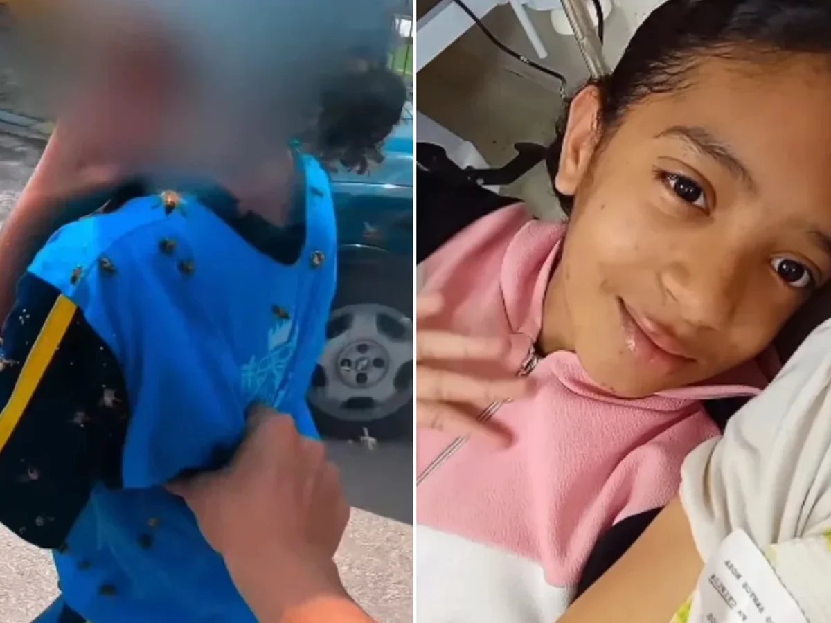 Safira, menina atacada por abelhas, tem alta hospitalar em MG