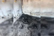 Suspeito de matar e incendiar corpo de vítima em casa abandonada é preso - imagem 2