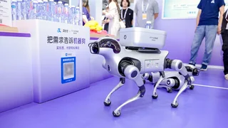 China revela cachorro robô que vai ao mercado e faz compras por você