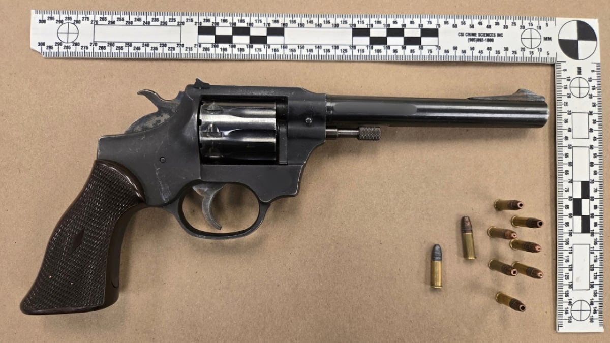 Assault investigation leads to gun, $100K in drugs: North Bay police