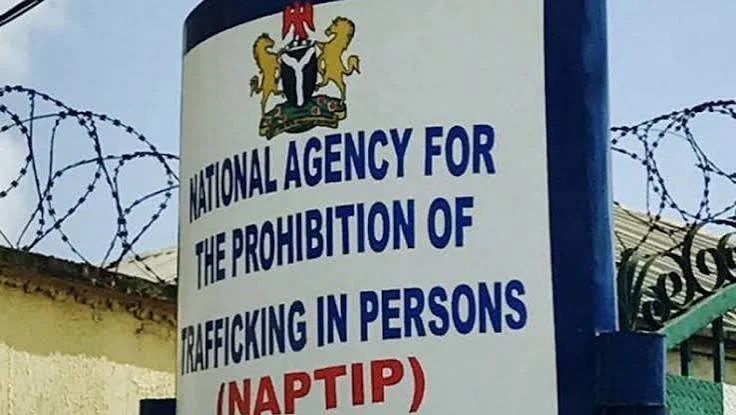 Imagem da matéria: Partes interessadas apoiam auditoria pós-desembaraço aduaneiro para transparência