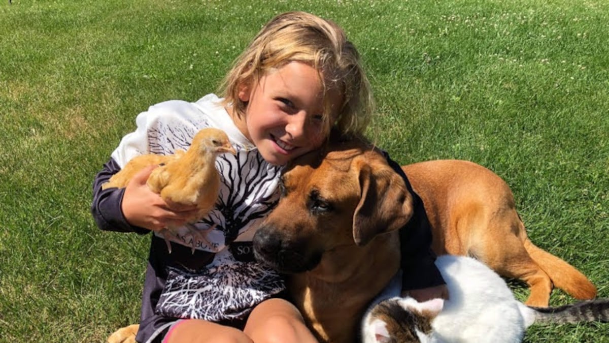 Six Nations man sentenced to house arrest for crash that killed 12-year-old girl