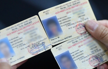 Novas alterações sobre a renovação da licença de condutor, o público precisa saber claramente