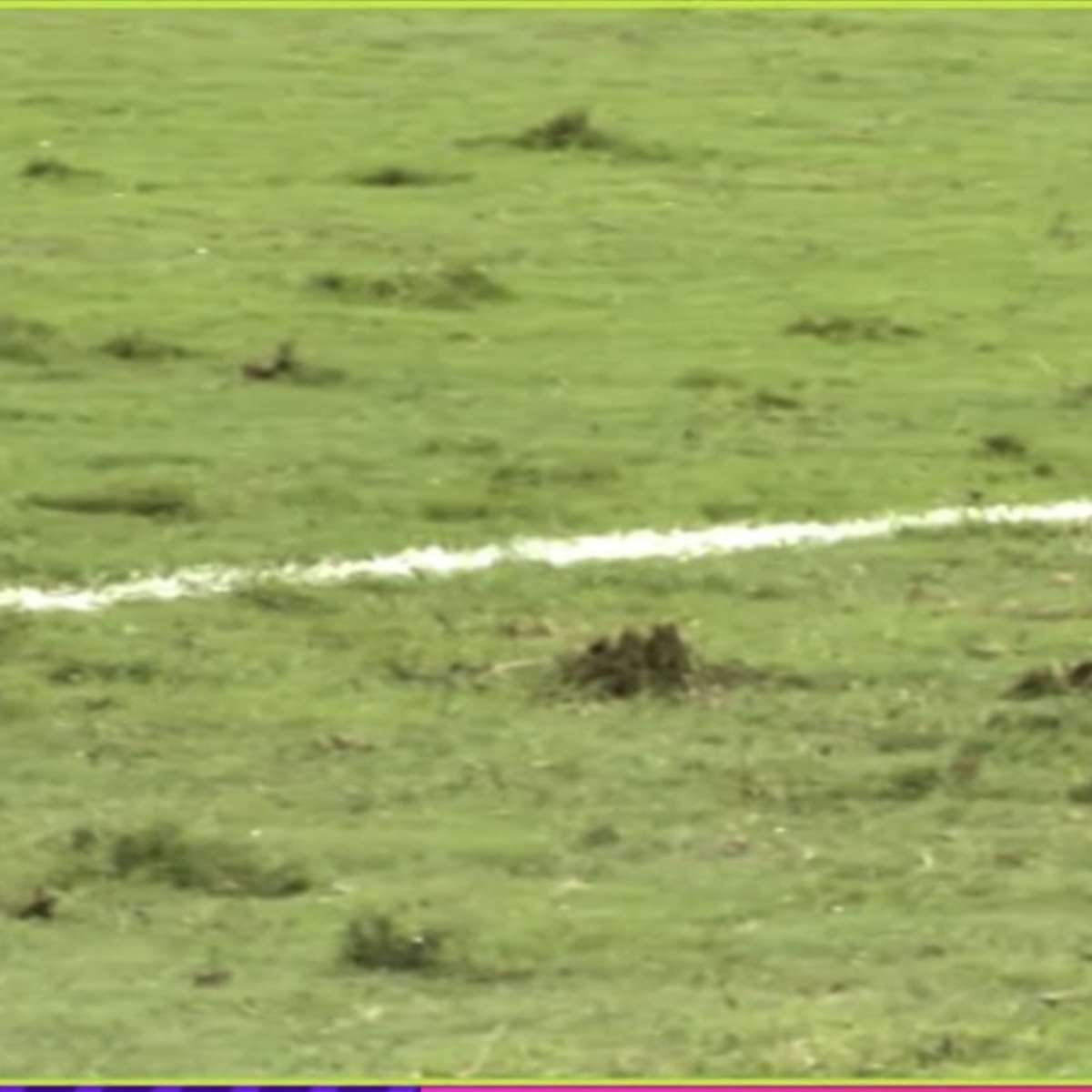 Gramado ruim em amistoso da Seleção gera reação de brasileiros nas redes: 'Pasto'