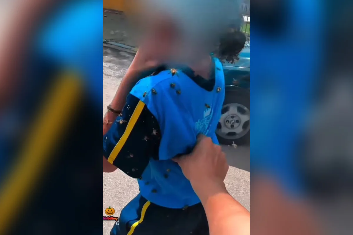 Motoboy que salvou criança de ataque de abelhas vira herói nas redes