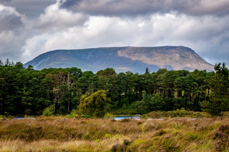 Trees and flat-topped mountain
