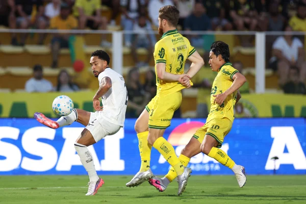 Na estreia de Tite e Ziyech, Mirassol bate Botafogo com 2 gols de Eduardo - destaque galeria