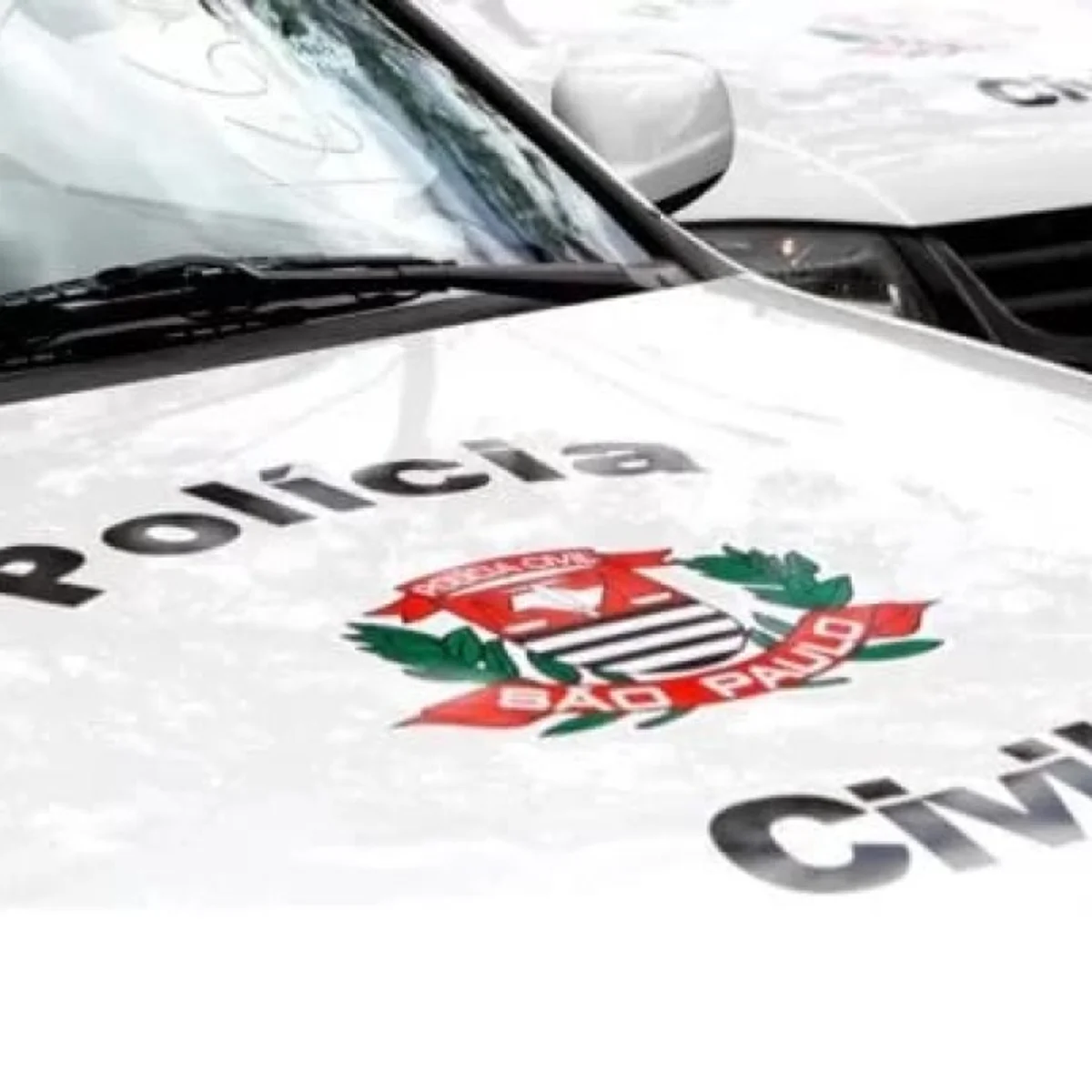 PCC queria usar entidade para crianças atípicas em esquema criminoso