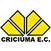 Imagem da matéria: Veja quais são os pontos de alerta de Ancelotti na Seleção Brasileira após empate contra Austrália