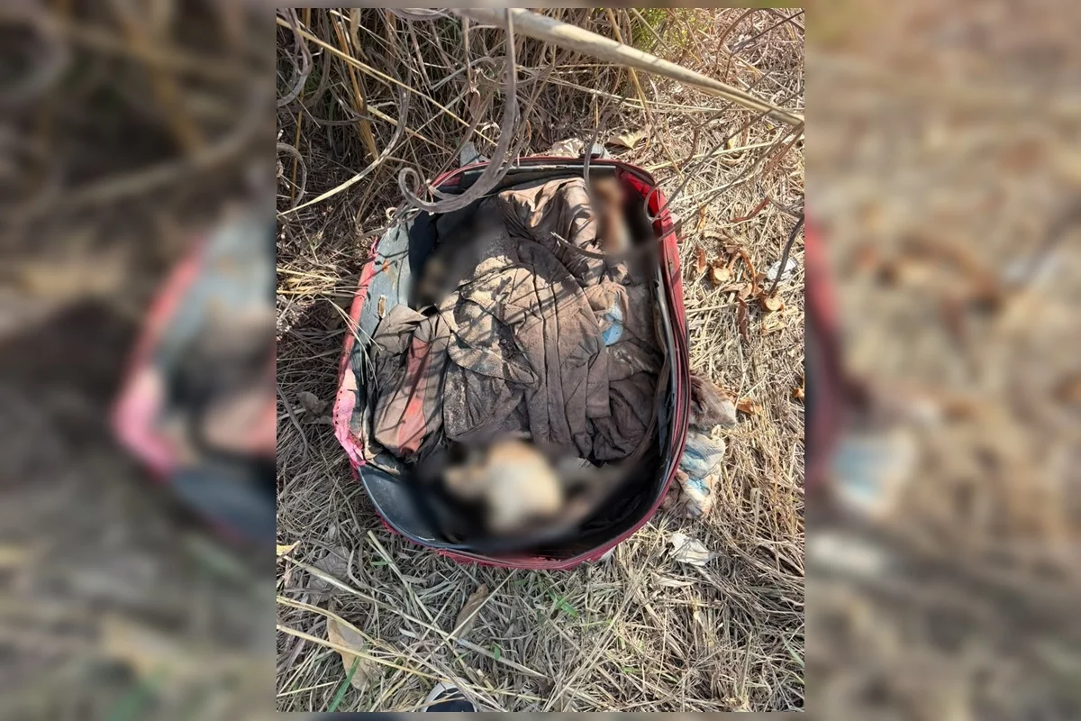 Ossada humana é encontrada em mala junto a relógio e camisa de time em GO