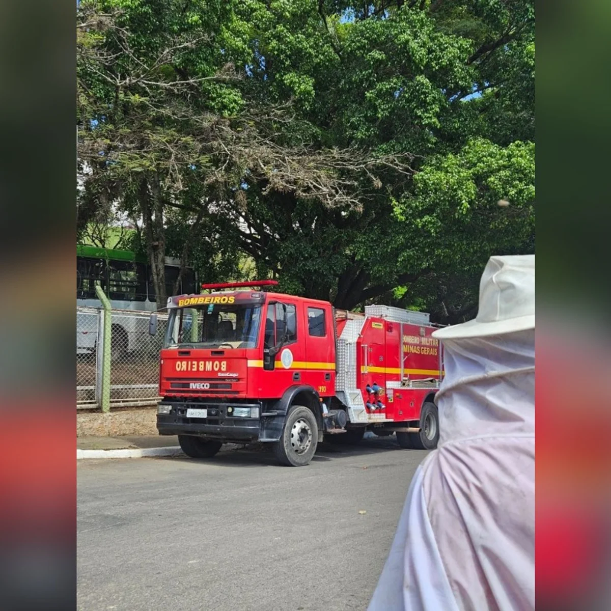 Bombeiros resgatam homem de 73 anos que foi atacado por abelhas em Minas