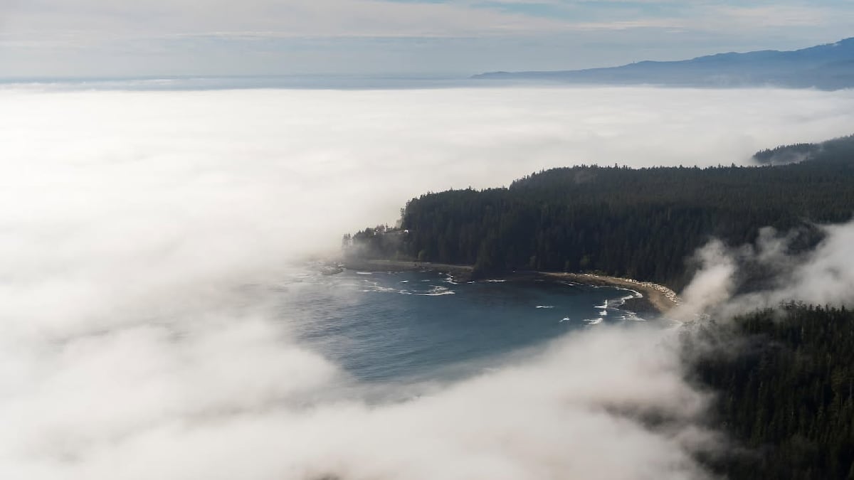 One of the strongest El Niños on record is developing. What could it mean for B.C. this winter?