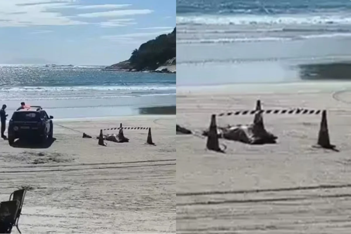 Motorista de app é encontrado morto em praia após 5 dias desaparecido