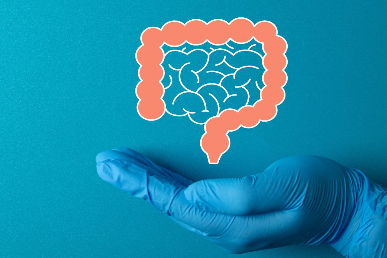 Câncer de intestino: entenda o papel da colonoscopia na identificação precoce da doença Portal EdiCase