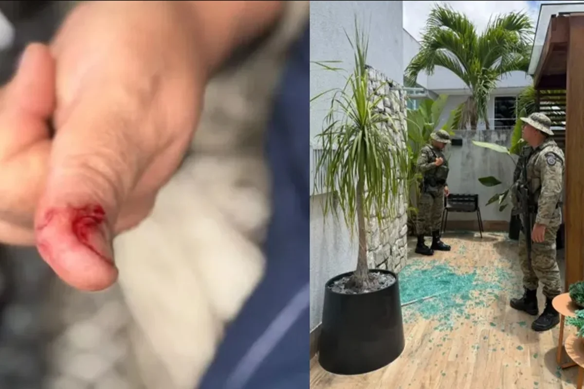 Macaco de ex-deputado foge e causa confusão após beber álcool e remédios