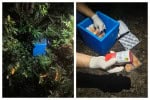 Carga radioativa roubada em SP é encontrada intacta na Zona Leste da cidade