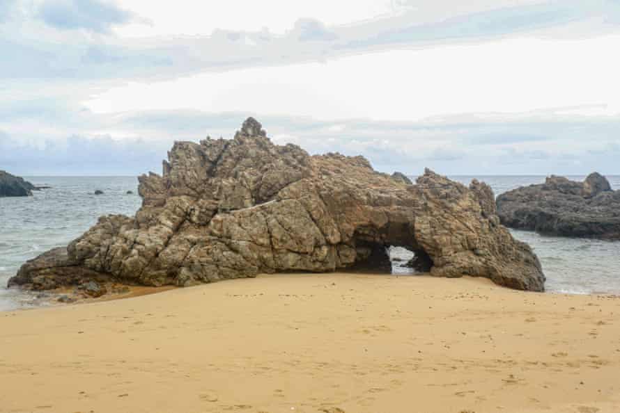 Expansão do turismo v. ninhos de tartarugas: o conflito que divide comunidades em um resort de Tobago