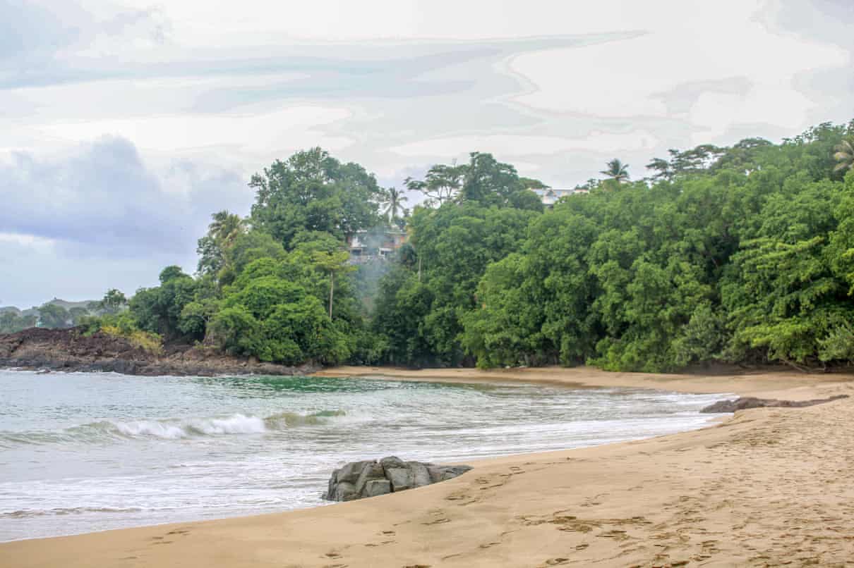 Expansão do turismo v. ninhos de tartarugas: o conflito que divide comunidades em um resort de Tobago