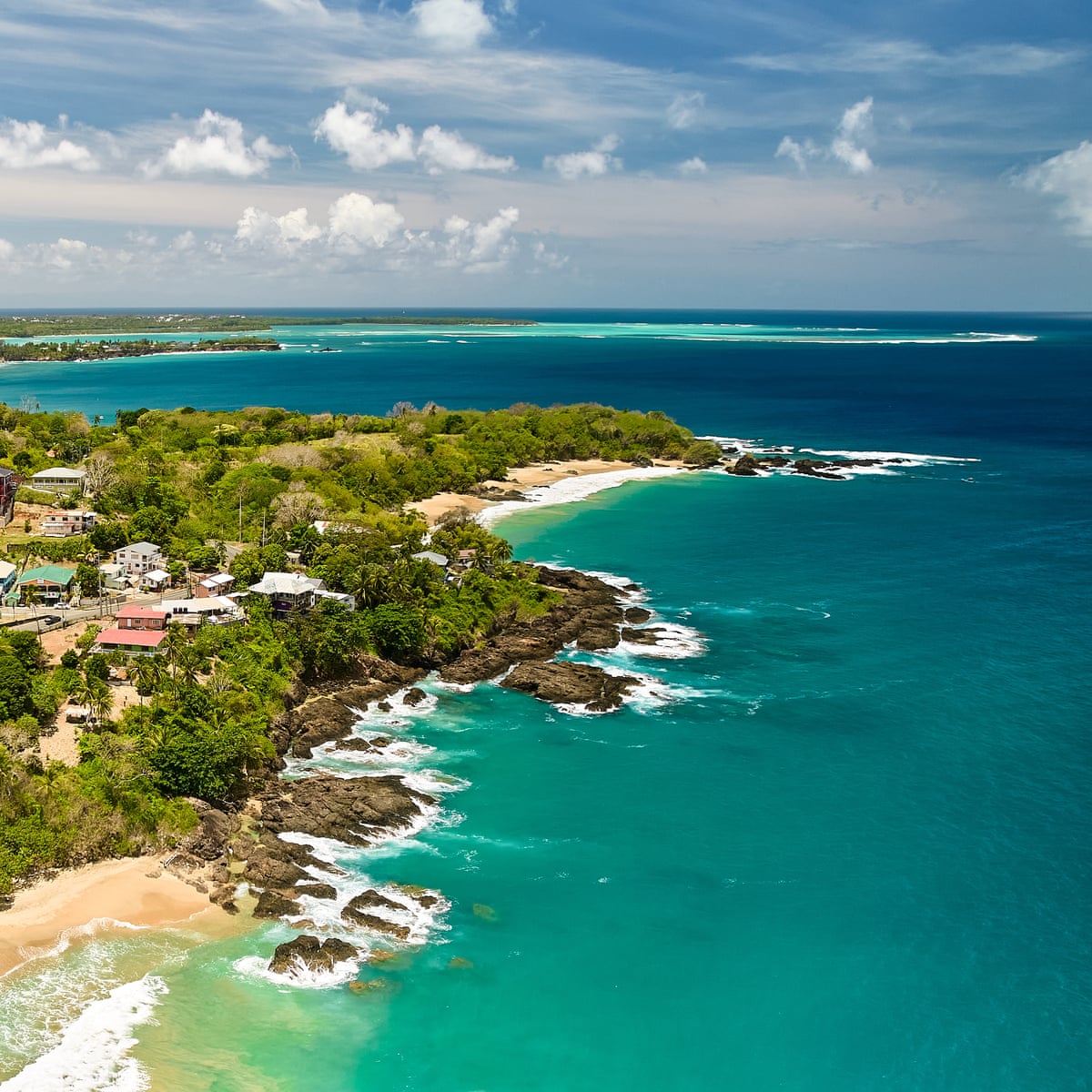 Expansão do turismo v. ninhos de tartarugas: o conflito que divide comunidades em um resort de Tobago