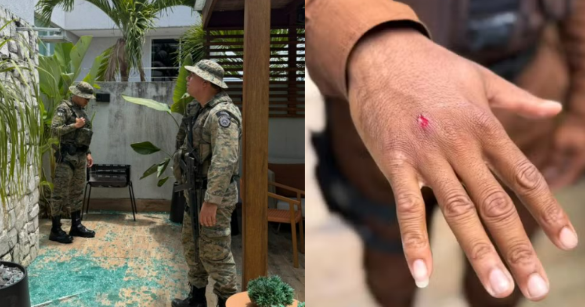 Macaco-prego invade casas na Bahia, ingere álcool e deixa feridos antes de ser capturado pela Polícia