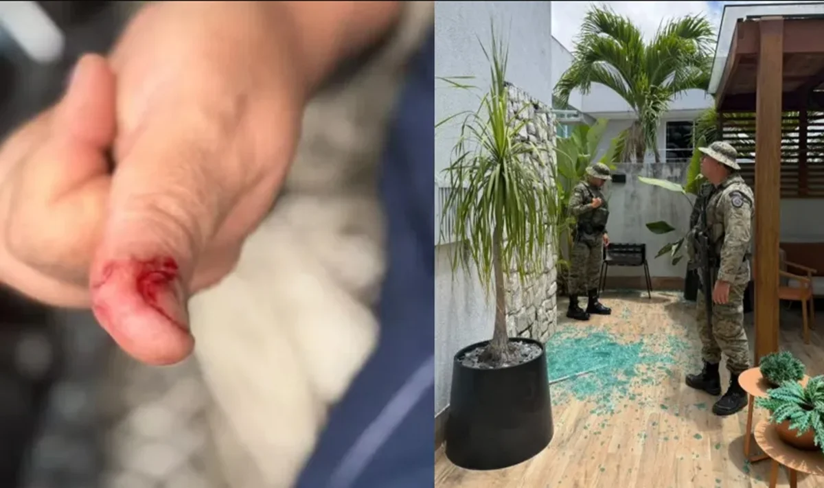 Macaco de ex-deputado foge e causa devassa após beber álcool e remédios - Metrópoles