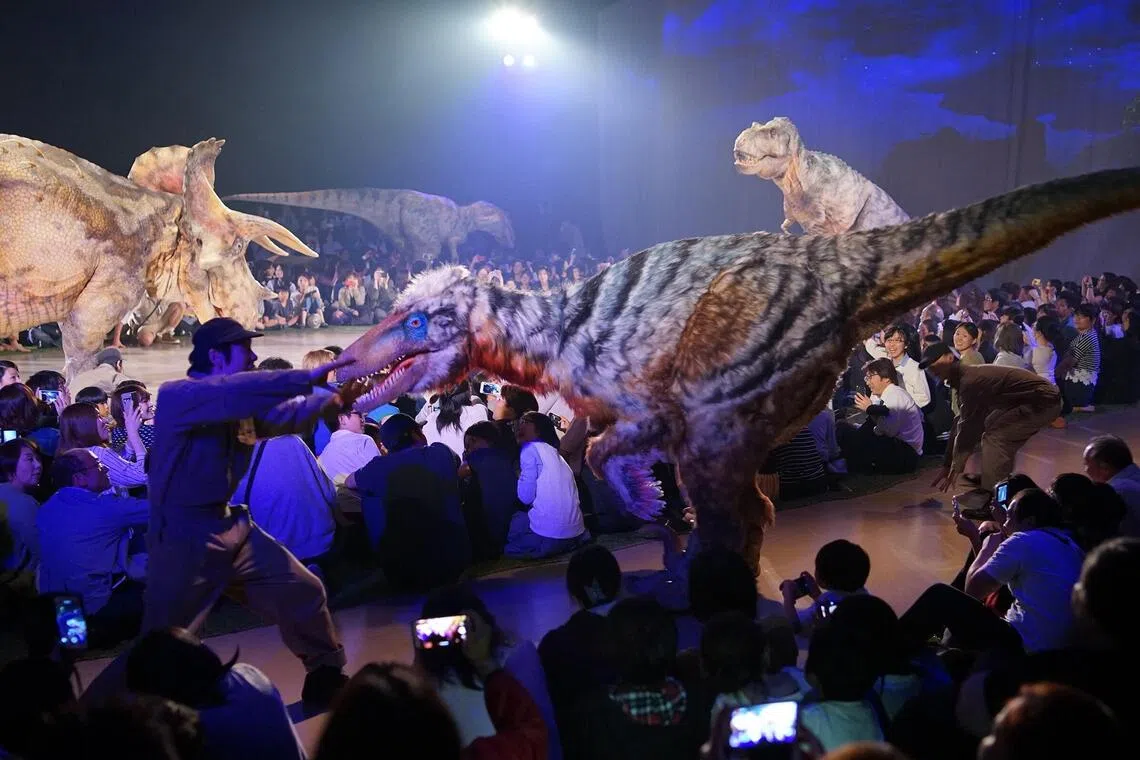 Roaming freely across the performance space, the dinosaurs allow audiences to experience their awe-inspiring scale and presence up close.