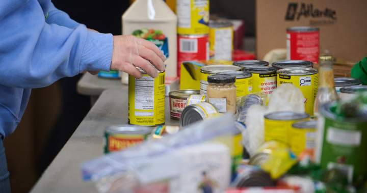 As visitas às bancas de alimentos aumentaram para 2,3 milhões por mês, conforme diz o relatório.
