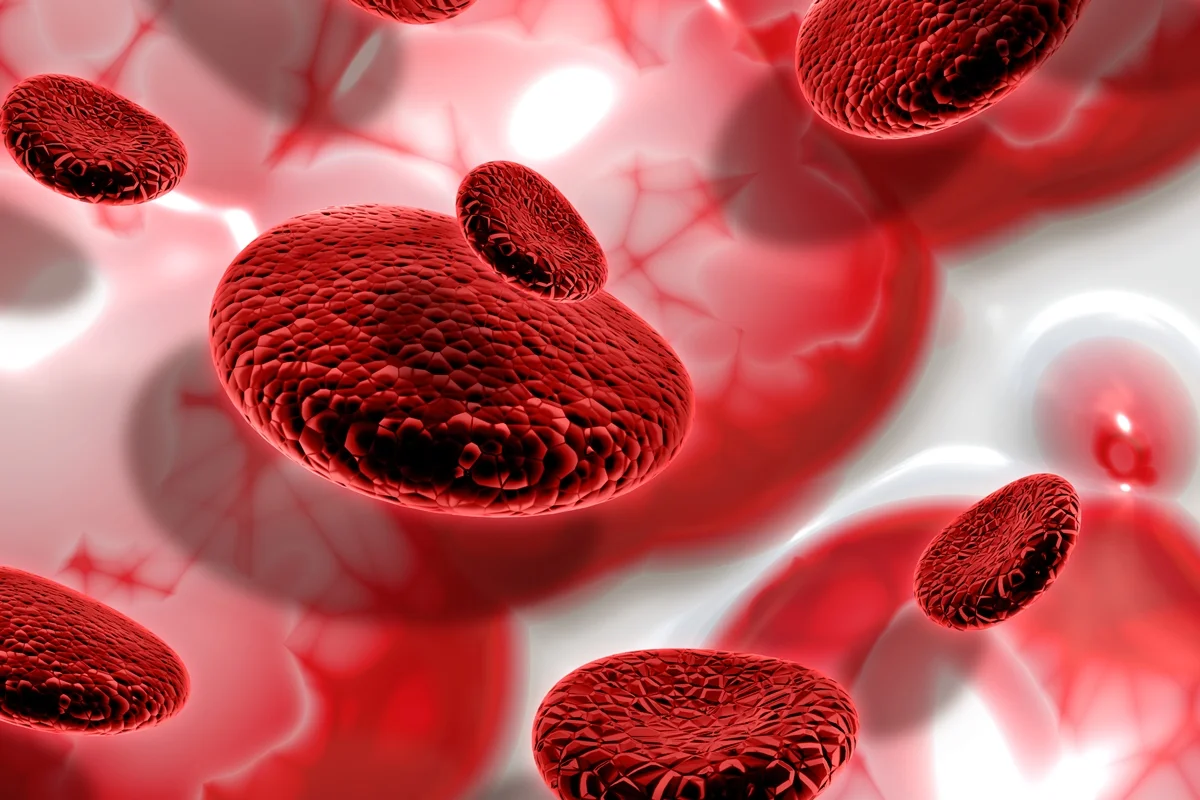 Hematologista alerta que anemia não tratada pode sobrecarregar o coração