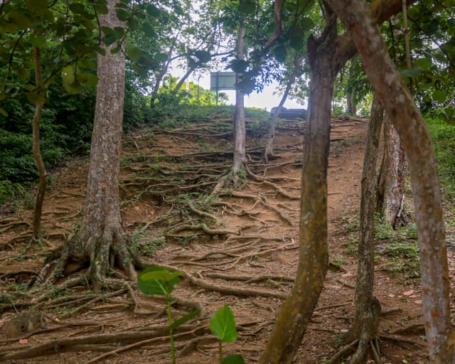 Expansão do turismo v. ninhos de tartarugas: o conflito que divide comunidades em um resort de Tobago