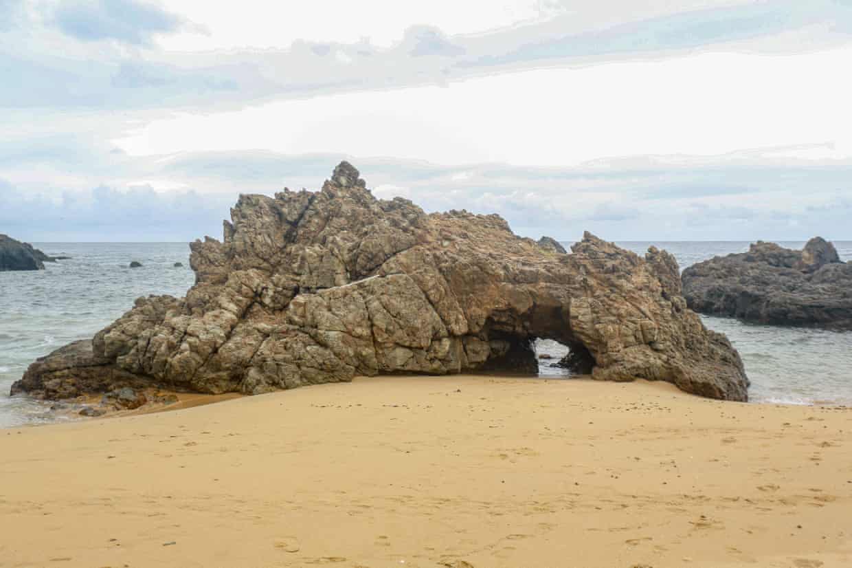 Expansão do turismo v. ninhos de tartarugas: o conflito que divide comunidades em um resort de Tobago