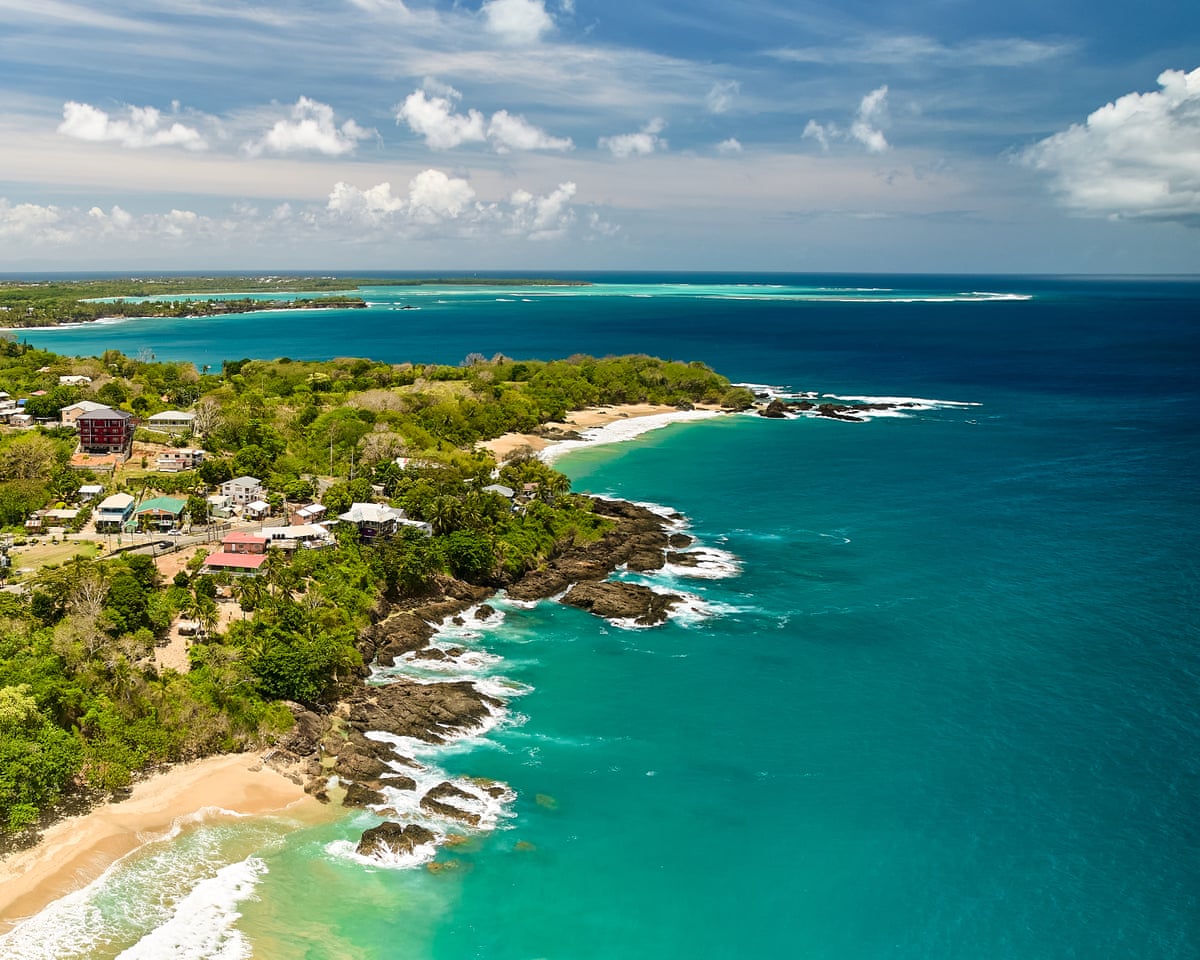 Expansão do turismo v. ninhos de tartarugas: o conflito que divide comunidades em um resort de Tobago
