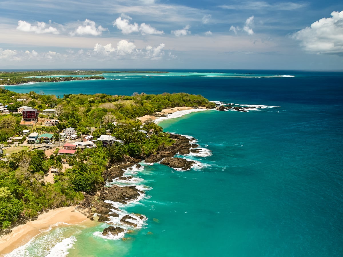 Expansão do turismo v. ninhos de tartarugas: o conflito que divide comunidades em um resort de Tobago
