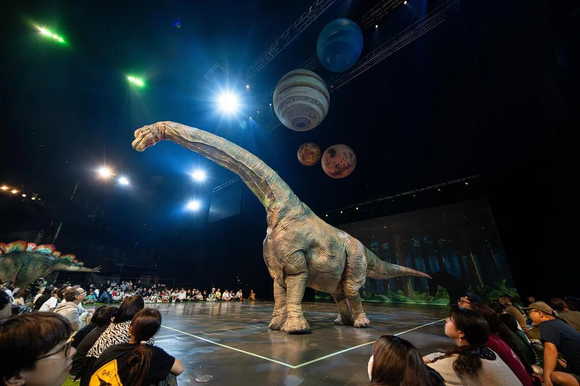 The 70-minute production features realistic replicas, including a Tyrannosaurus rex, Brachiosaurus (pictured) and Ankylosaurus.