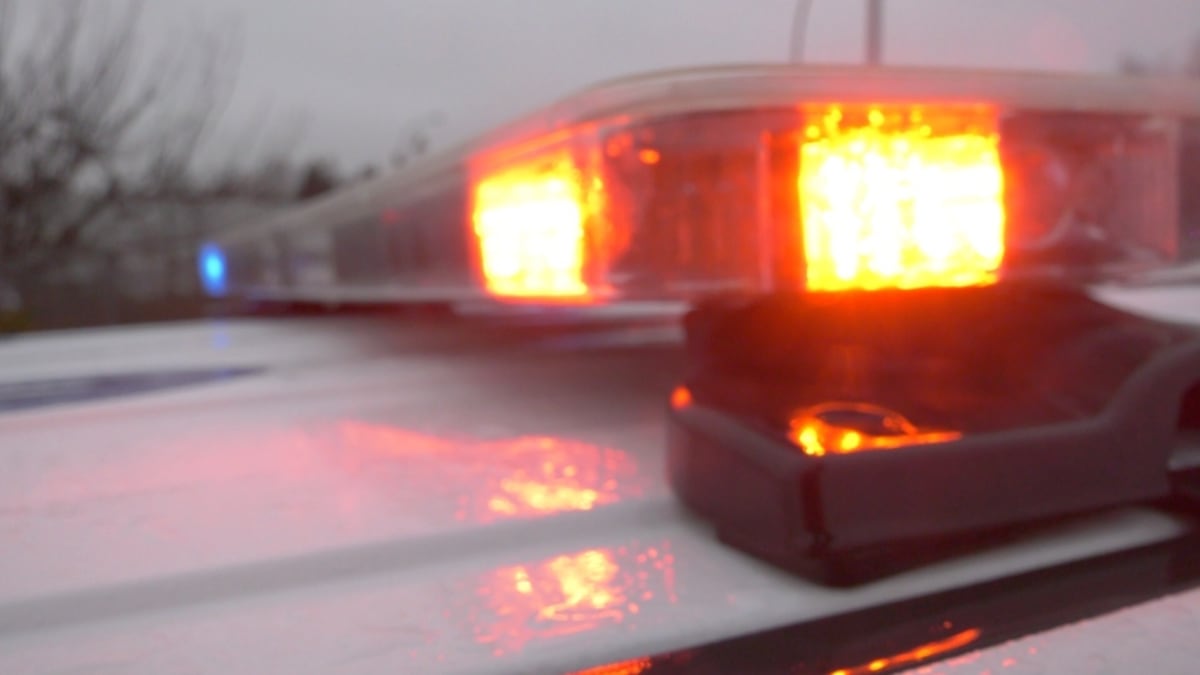Saskatchewan driver fined for impersonating police